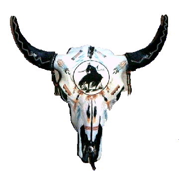 Skull